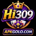 HI309-Game